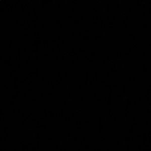 Meet your Posher, Daryl